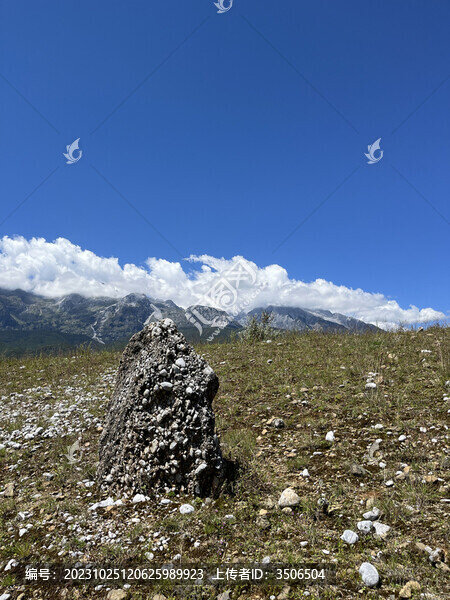 高山下荒原石頭