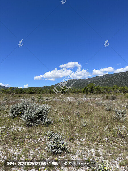 高山下荒原石頭