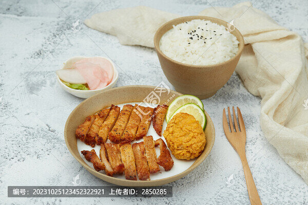 豬排雞排炸雞中翅飯