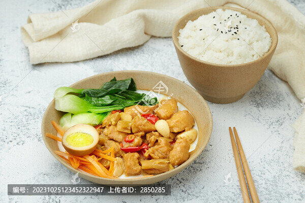 美味香辣雞肉飯