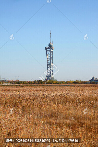 大慶濕地