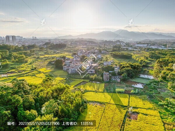 田園風光