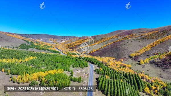 秋天的五彩山路
