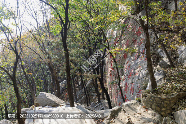 蒙山龜蒙景區(qū)百壽摩崖