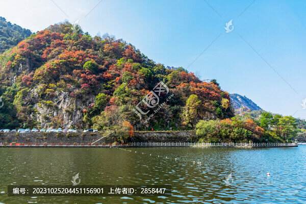 翠華山風(fēng)景