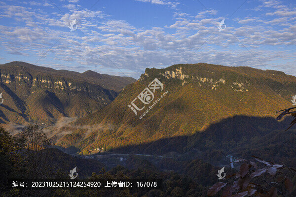 層林盡染
