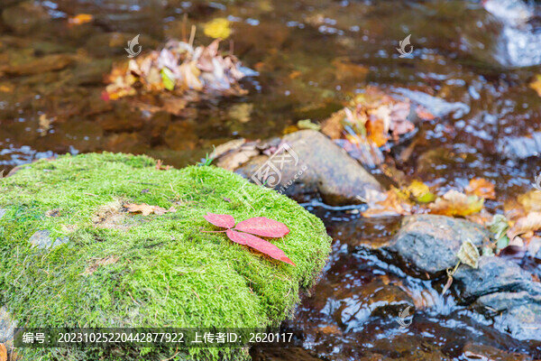 本溪大湖石秋色