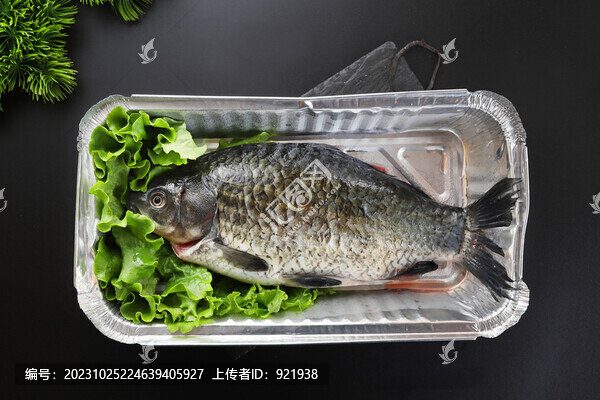 錫紙鯽魚
