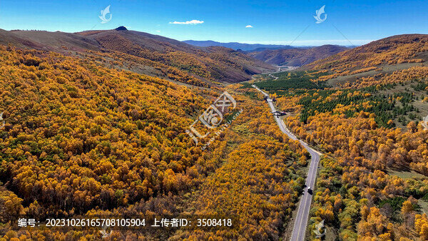 秋天的山谷道路