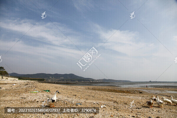 寧靜無人的海灘