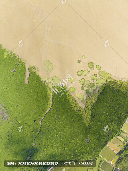 航拍廣西北海山口紅樹林