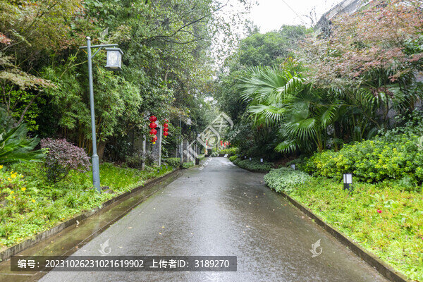 休閑道路