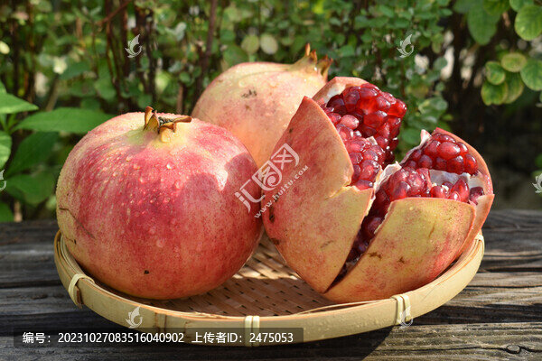 紅籽石榴