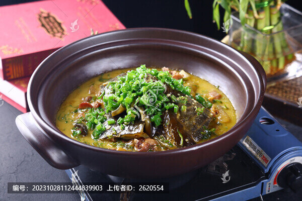 黃燜甲魚