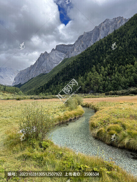 高山草甸溪流