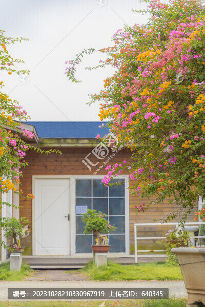 三角梅園林花園