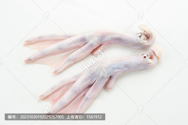 食材生鮮鴨掌