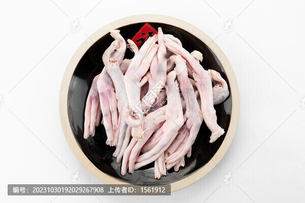 食材生鮮鴨掌