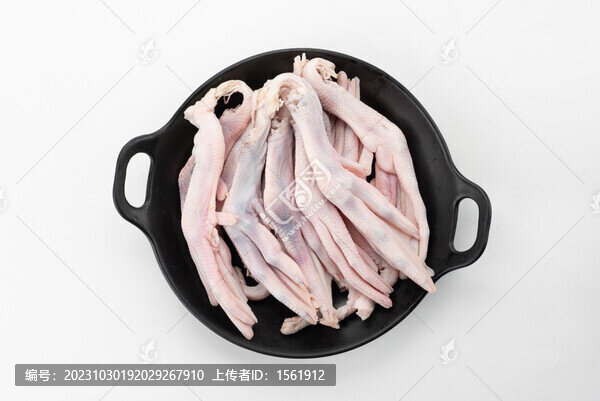 食材生鮮鴨掌