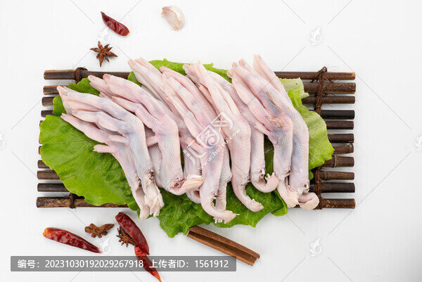食材生鮮鴨掌
