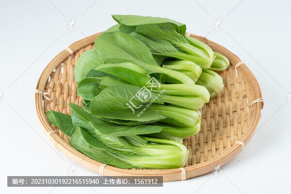小油菜