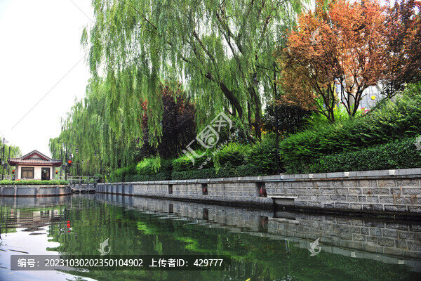 濟(jì)南大明湖公園湖畔綠樹(shù)