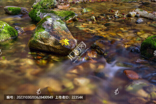 慢門(mén)紅葉