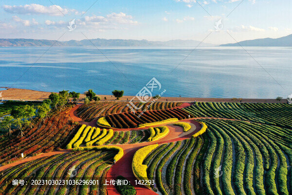 撫仙湖風光