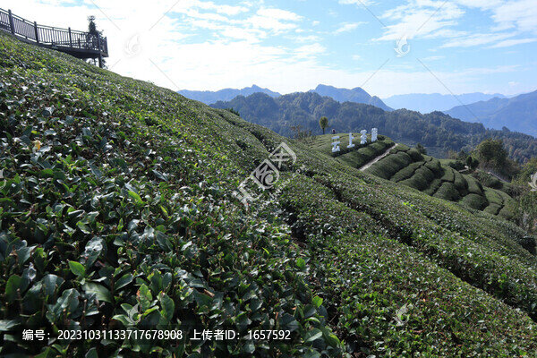 茶旅小鎮(zhèn)