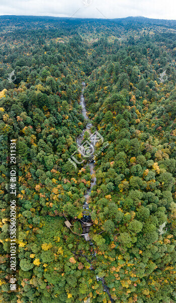 龍蒼溝國家森林公園秋色彩林