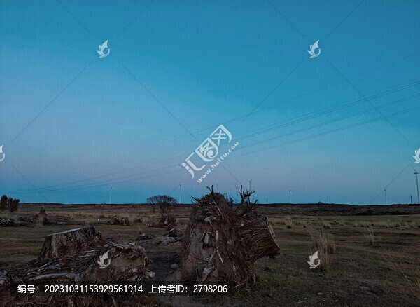 枯樹(shù)散落的草原黃昏