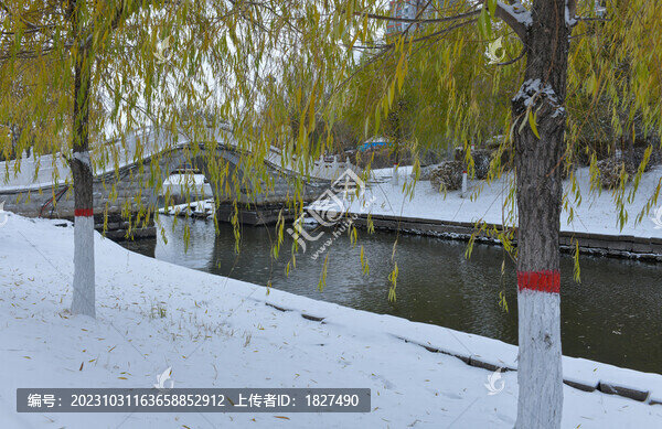 雪后城市