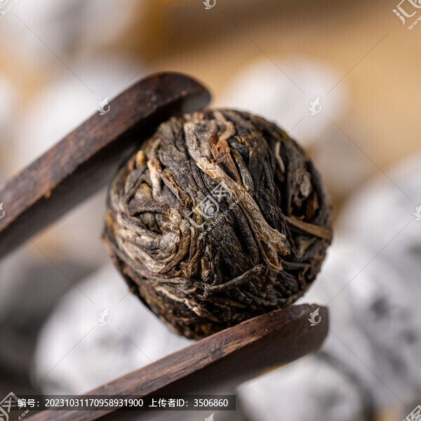龍珠普洱茶生