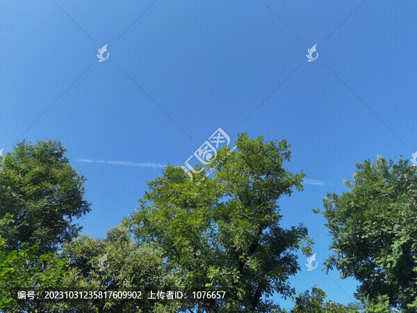 湛藍的天空