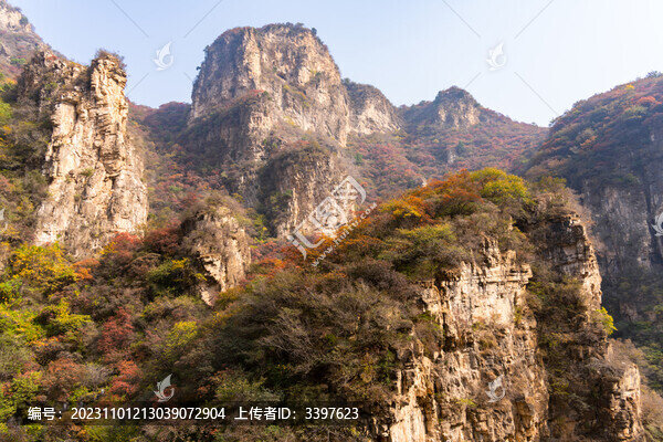 秋季登山賞紅葉看滿山紅葉美景