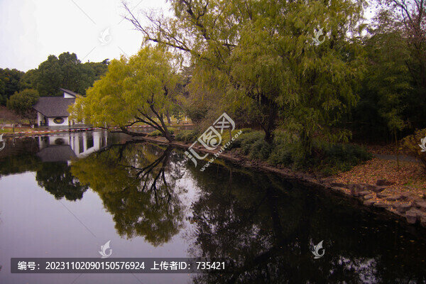 湖水樹木