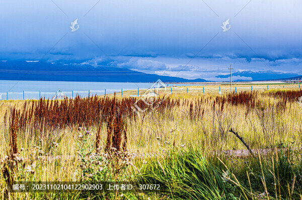 青海湖風(fēng)光