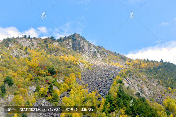 疊溪松坪溝彩林及地震遺址