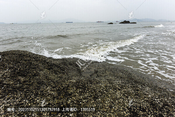 海邊浪花和礁石