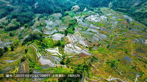 元陽梯田