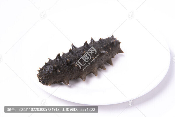 拉缸鹽海參