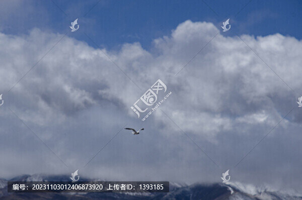 念青唐古拉山岡底斯山