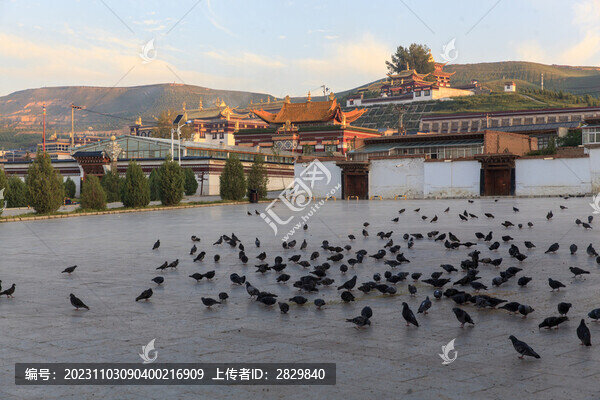 安多合作寺院