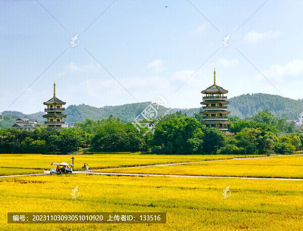 雙塔田園風(fēng)光