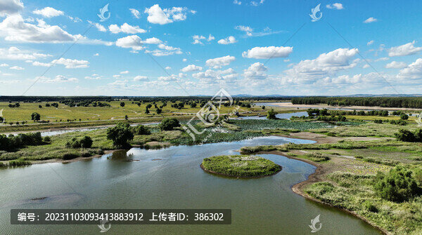 遼河濕地
