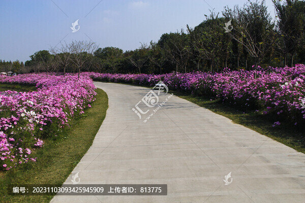 格?；? title=