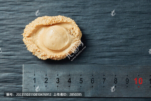 海產(chǎn)品鮑魚