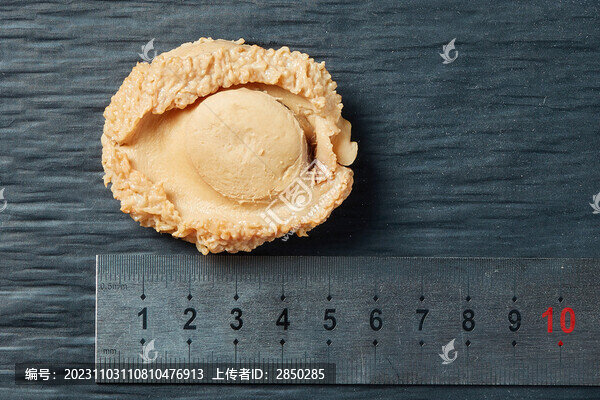 海產(chǎn)品鮑魚