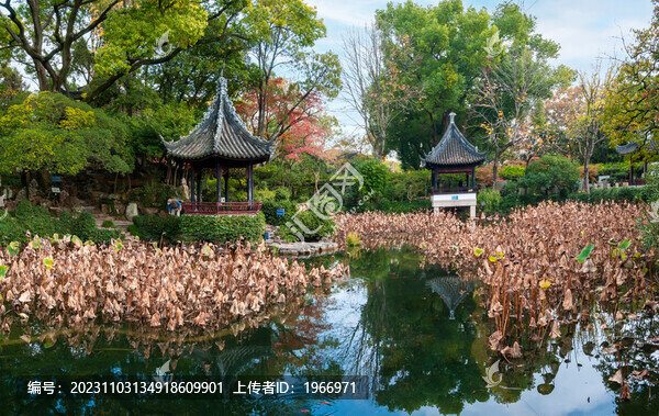 上海曲水園風(fēng)光