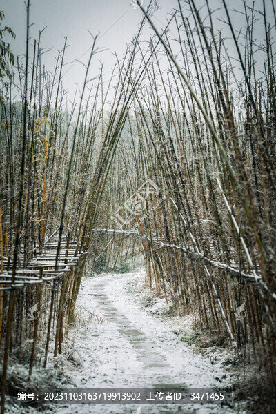 大雪路
